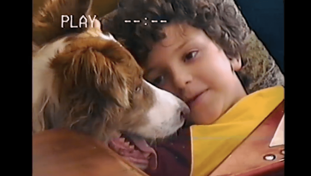 Pedigree "Childhood Dog" Global Commercial Campaign Real Person and Emotional American Female TV Commercial Voiceover - Song by The Cinematic Orchestra